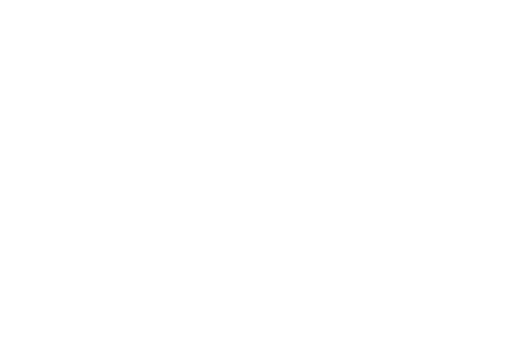 BEST EXPERIMENTAL FILM - Detroit Independent Film Festival - 2024 (1)