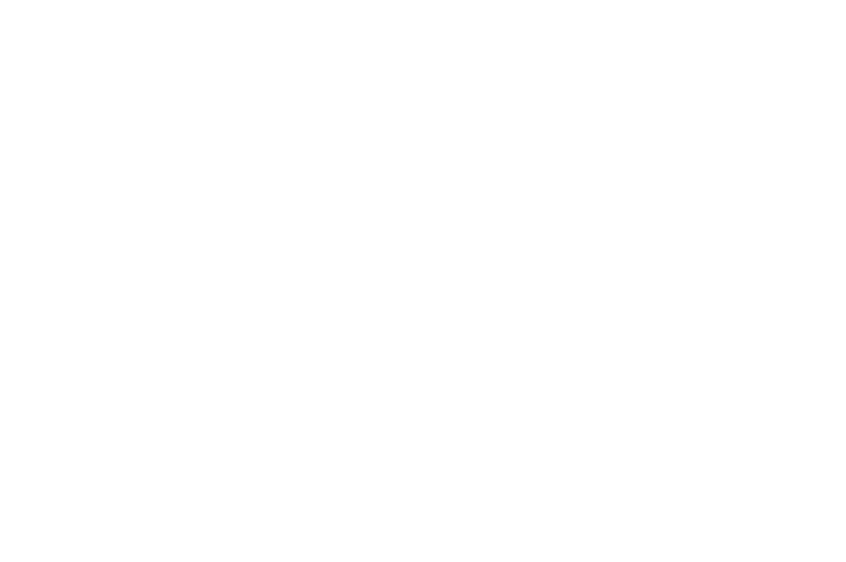 BEST ORIGINAL SCORE - Santa Barbara International Movie Awards - 2024 (1)