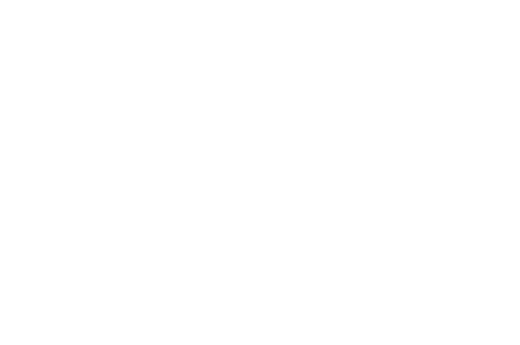 OUTSTANDING EXCELLENCE IN ORIGINAL SCORE - Documentaries Without Borders International Film Festival - 2024 (1)