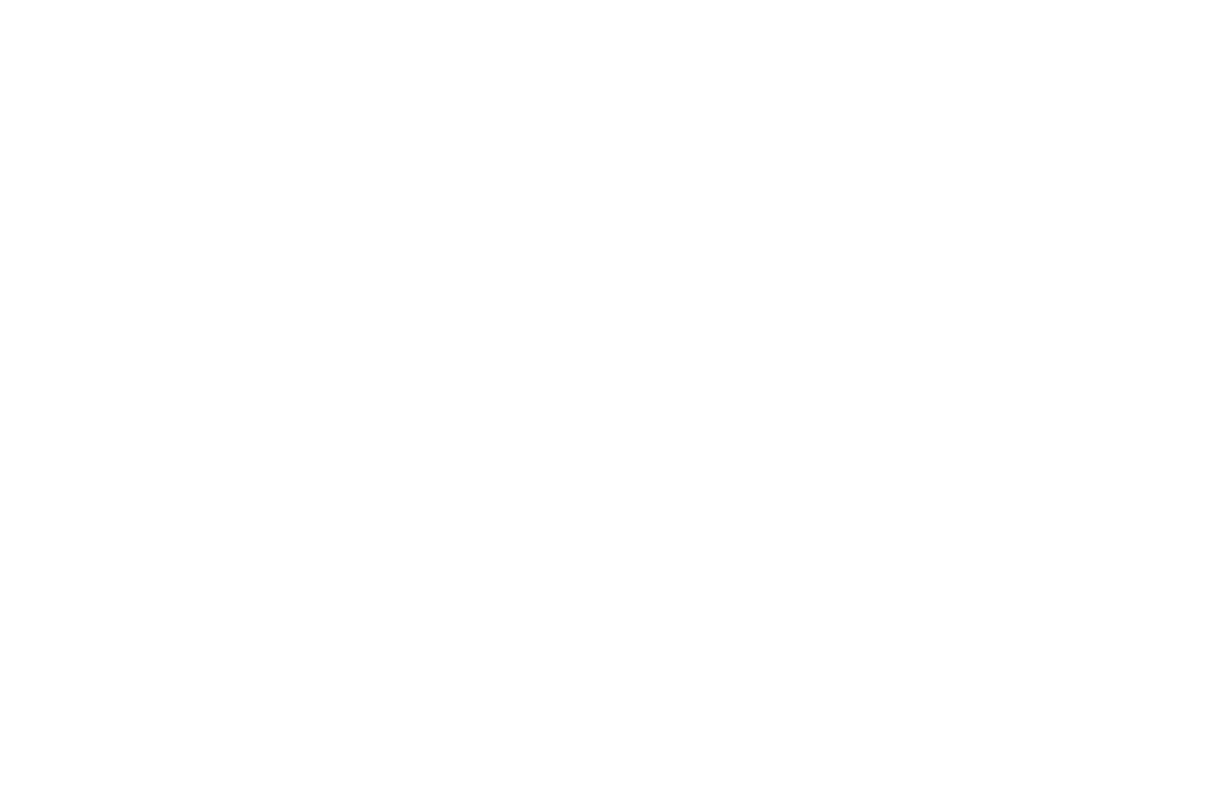 OUTSTANDING EXCELLENCE IN ORIGINAL SCORE - Nature Without Borders International Film Festival - 2024 (1)