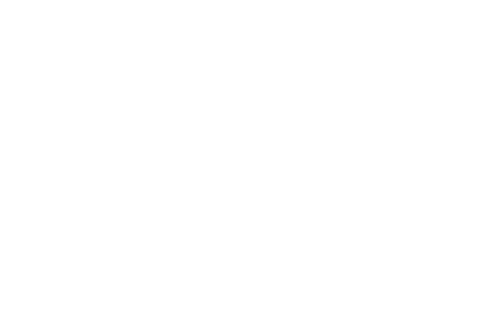 SEMI FINALIST - Cleveland Arthouse Film Awards - 2024 (1)