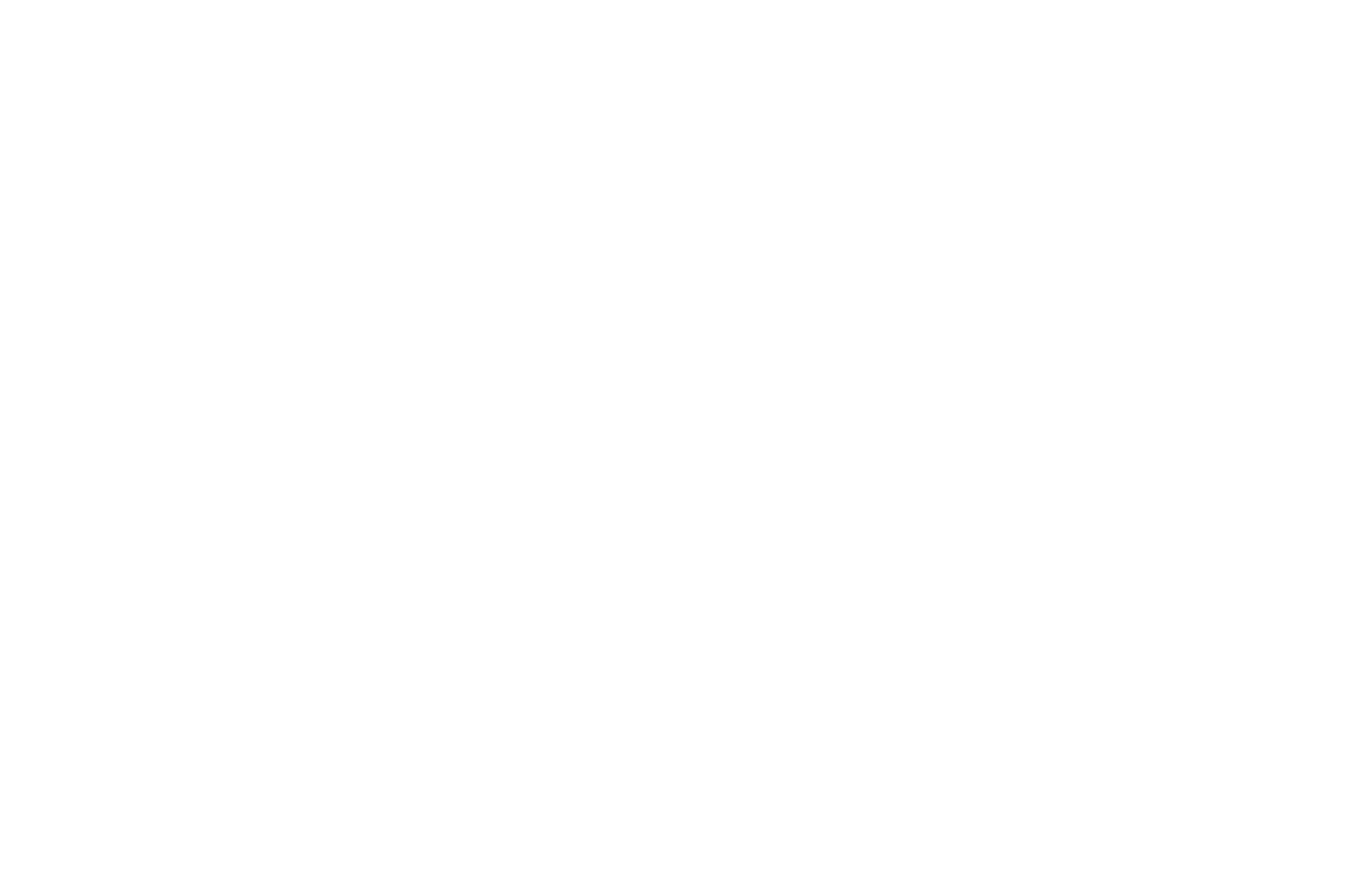 SEMI FINALIST - Detroit Independent Film Festival - 2024 (1)