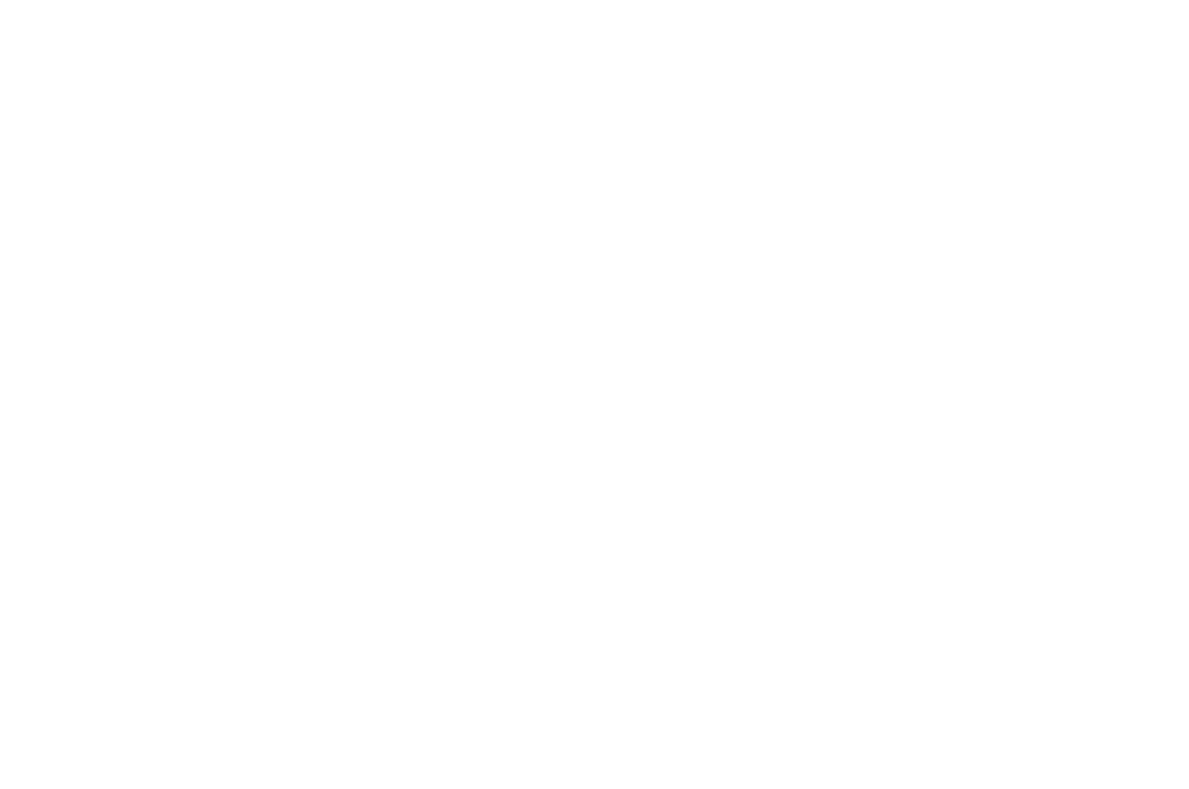 SEMI FINALIST - Dublin International Film Awards - 2024 (1)