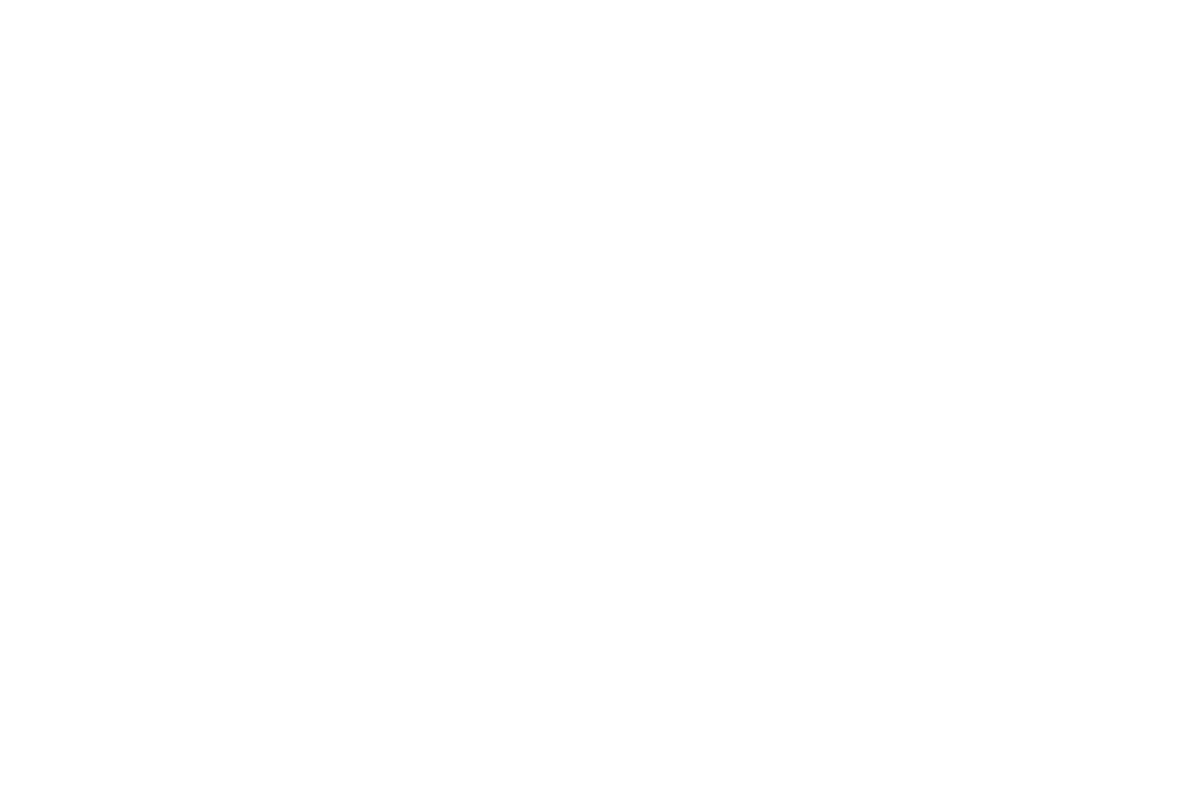 SEMI FINALIST - Nashville Independent Filmmakers Festival - 2024 (1)