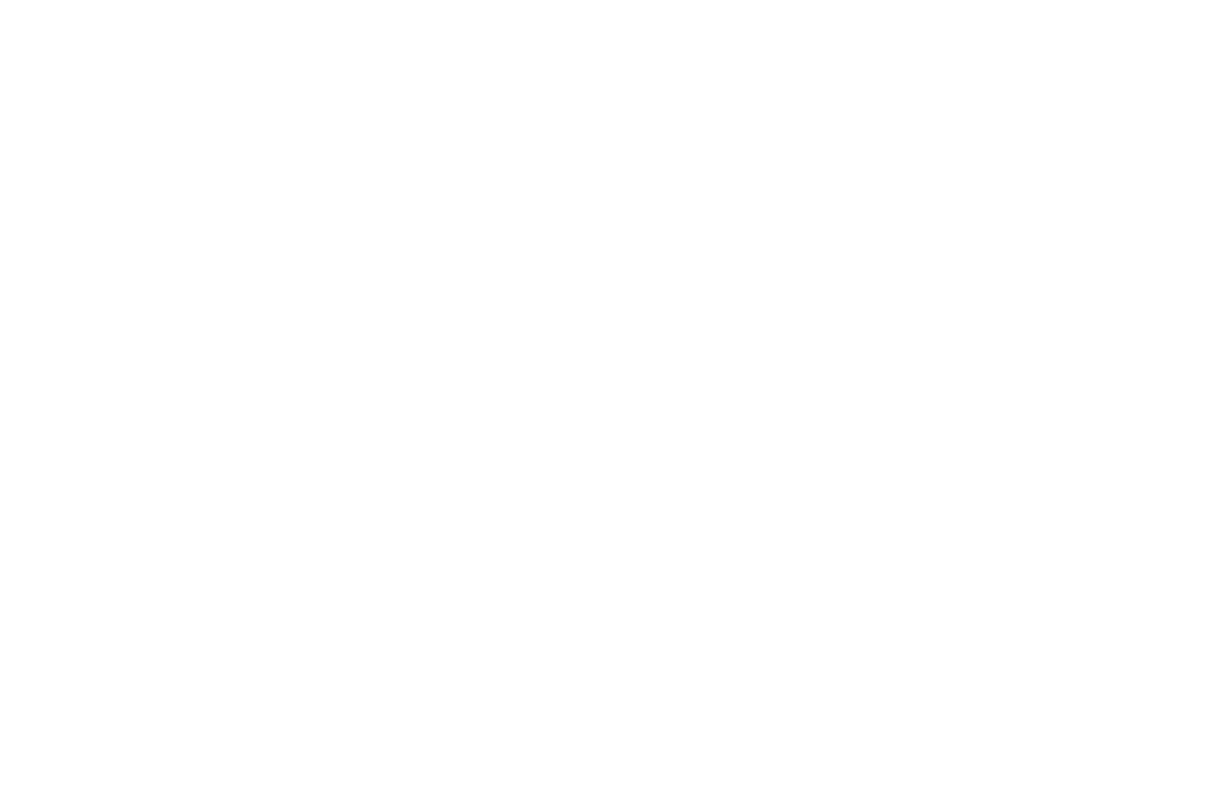 SEMI FINALIST - Vancouver Independent MovieMaker Awards - 2024 (1)